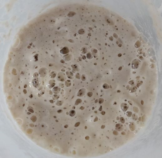 Natural fermentation showing active microbial fermentation